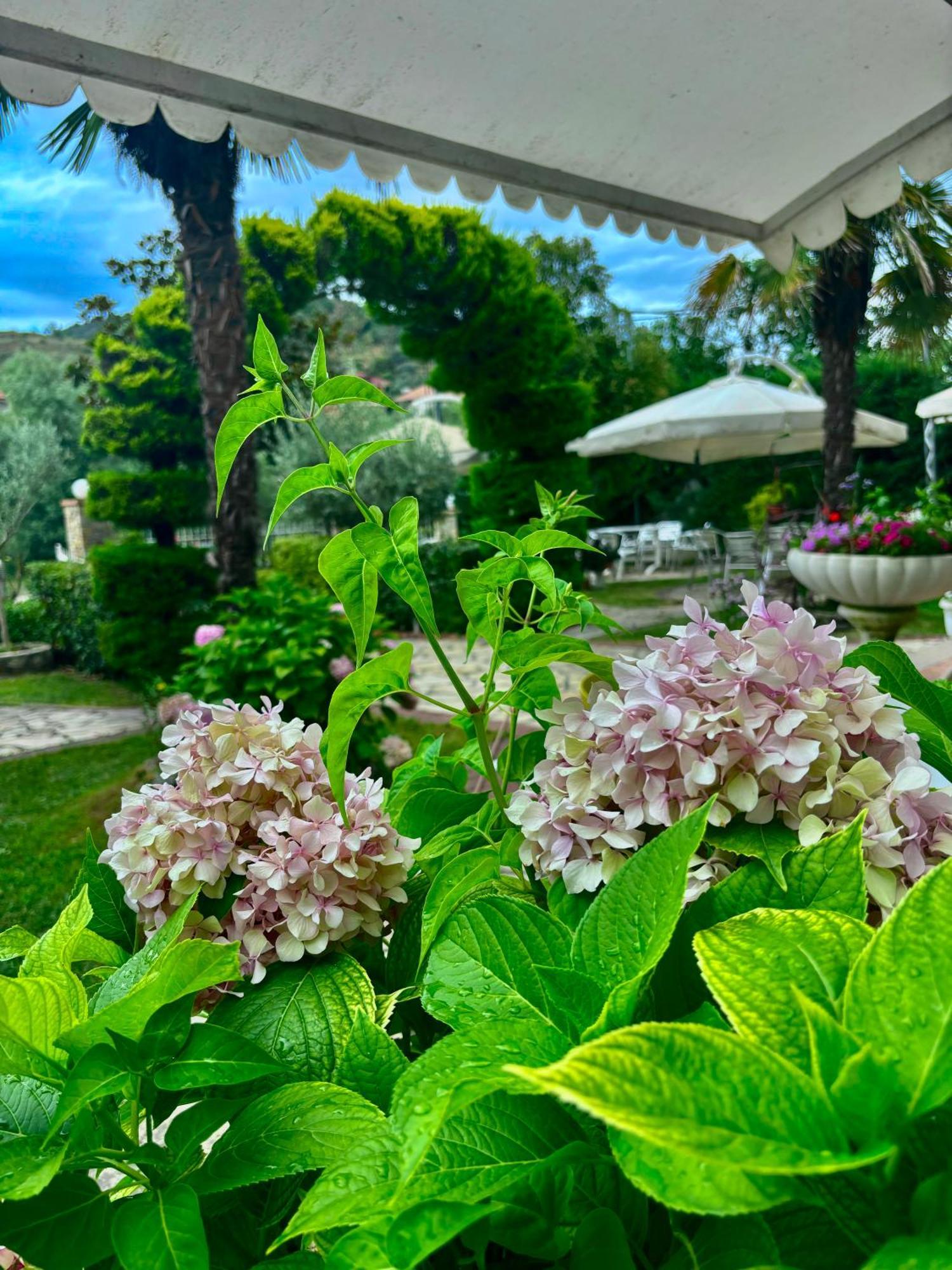 Hotel Restorant Halal Il Tramonto. Vore Экстерьер фото